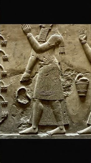 Why Does the Tree of Life Appear Everywhere? A Shared Symbol Across Human History