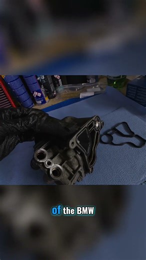 BMW N55 Common Seal Wear After 10+ Years #shortvideo #shorts #short #shortsfeed #creator