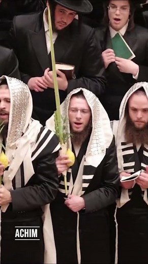 Bobov Rebbe shaking the Lulov and esrog sukkos