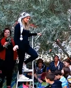 Palestine. دلعونا الزيتون — زيتون بلادي Every harvest, Palestinian women sing. Not for an audience. For the trees. For each other. For the land that keeps giving even when everything else is taken. This is Dal'ouna. A folk song older than borders. Sung the same way their mothers sang it, and their mothers before them. #Palestine #فلسطين #TheSouq #ArabHeritage