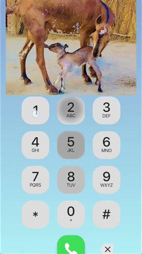 I phone keypad 1172