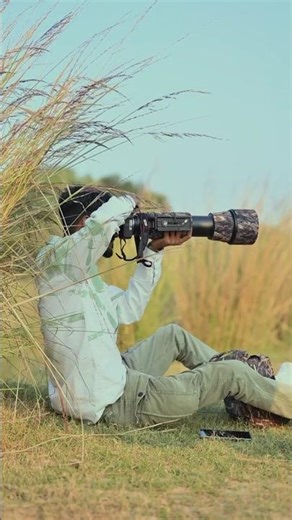পবিত্র কোরানে বর্ণিত সেই হুদহুদ পাখি (Eurasian Hoopoe)😍