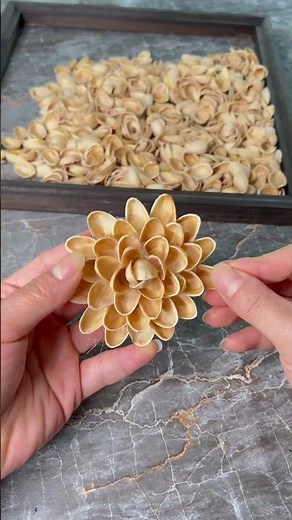 Crafting Beautiful Flowers from Pistachio Shells