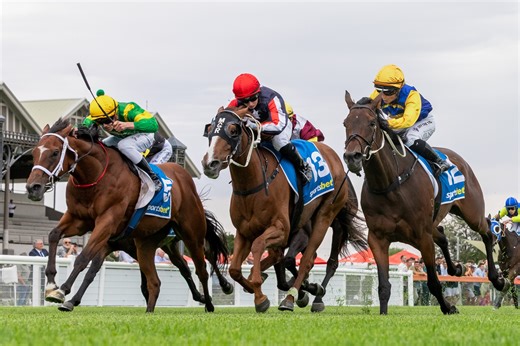 Racing SA's Saturday best bets at Morphettville (21/02)
