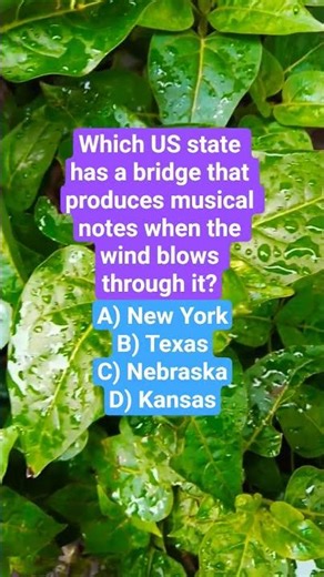 Which US state has a bridge that produces musical notes when the wind blows through it?