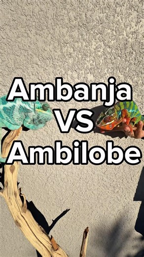 Ambanja VS Ambilobe🔥🔥