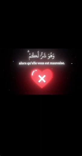 Sourate AL-BAQARA / LA VACHE#recitationofquran #islam #coran #pourtoi