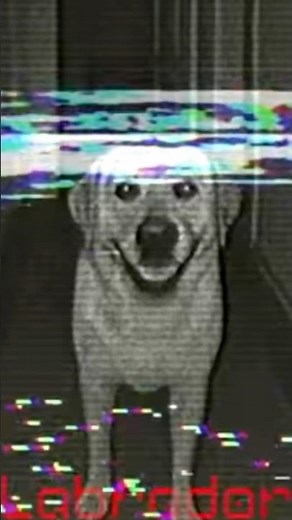 Dream bendy bed scary room