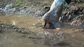 Unrecognizable woman in rubber boots steps into a muddy puddle,...