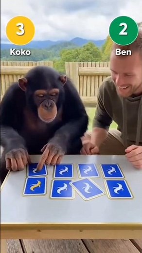 Brain Battle! Chimpanzee 🐒 vs Human 🤯 Memory Game Showdown