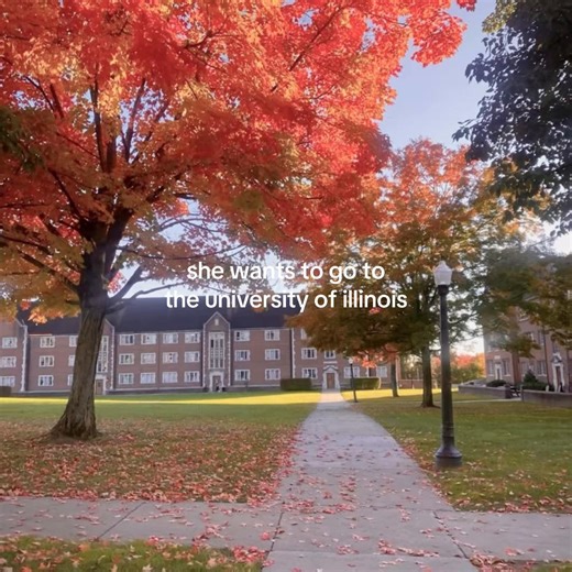 Exploring the University of Illinois Acceptance Journey