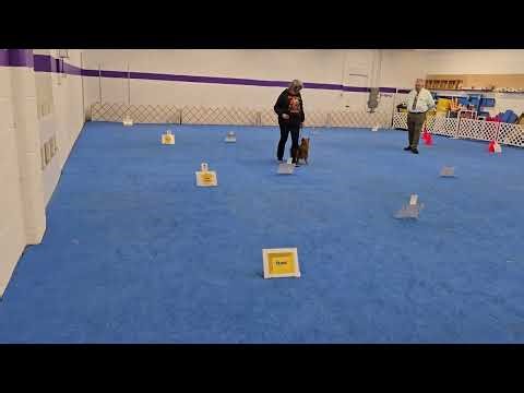 Baxter's rally novice 2nd leg 100/1st place