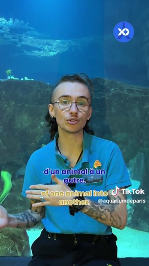 Octopus Pokémon: Discover the Marine World of Pokémon