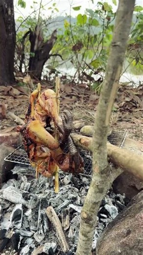 Primitive Jungle Cooking No Tools | ASRM Cooking #primitiveplus #cooking #outdoorcooking