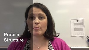 Pipe Cleaner Protein Lesson