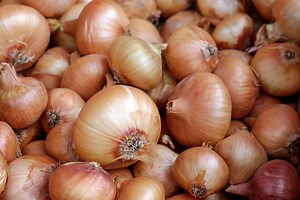 Protect Your Onions from a Freeze | Onion Patch