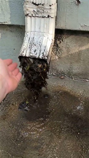 This is why regular gutter cleaning matters