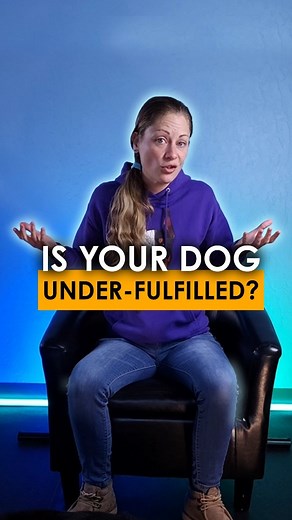 3.6K views · 92 reactions | If you have a dog who is constantly...