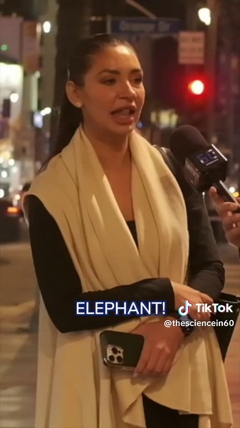 sciencein60 on TikTok