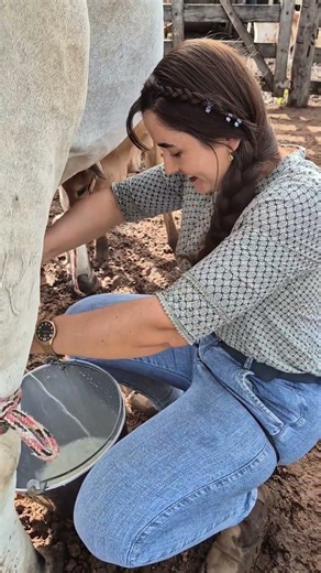 Fresh Cow Milking on Farm 🐄 | Village Life Experience | Organic Milk Harvest #villagelife