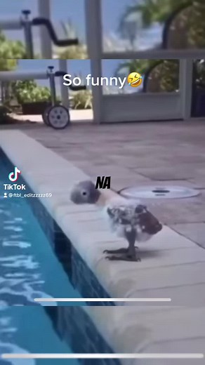 #fyp#meme#funny#jokes#wannaseemefloating