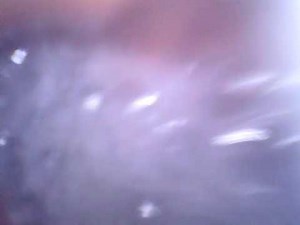 Wanna see where the Gummies go?