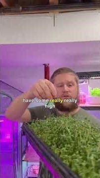 Grow Microgreens PART 3 - Step by Step