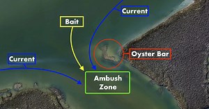 How To Catch Boatloads Of Fish Near Oyster Bars