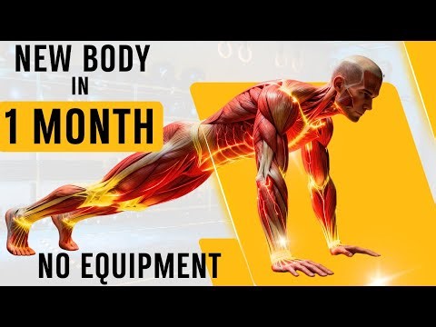 The BEST Full Body No Equipment Workout