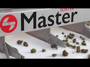 Master Sorter 500