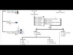 1- Lecture 1 Recording 1 of 4 Introduction to Microbiology