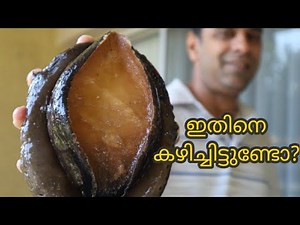 പൊളി സാധനം വീണ്ടും💥, കടൽജീവി അബലോണി കഴിച്ചിട്ടുണ്ടോ? | How to clean and Cook Abalone in Indian style