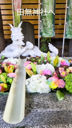 身体を清めに【田無神社】#shorts #パワースポット #田無神社