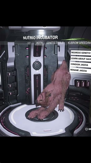 After Hundreds of Random Incubations, I Finally Got The Lotus Pattern.