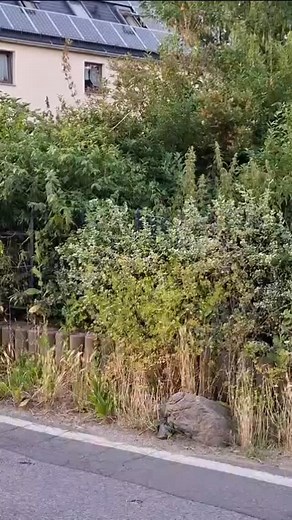 01327 DRESDEN, GÖNNSDORFER STRASSE 27 | 500Euro.Haus