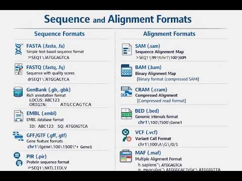 Bioinformatics File Formats Explained: Sequences & Alignments Simplified