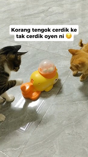 Tau makan je oyen tu. Tekan benda tu taknak 🫩 | Korang Tau Tak?