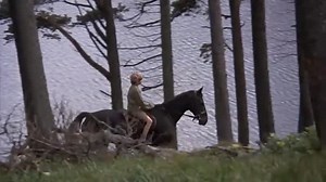 Black Beauty (1971)💎