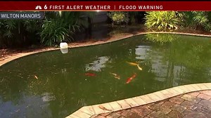 Wilton Manors Homes Dealing With Devastation From Flooding