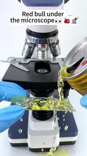 Amazing Close-up of Red Bull Under a Microscope