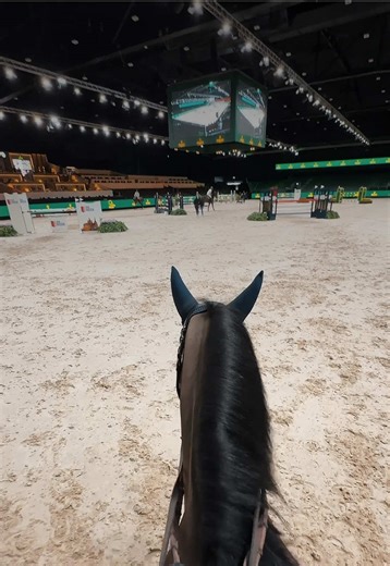 Experience the Thrill of The Dutch Masters Arena