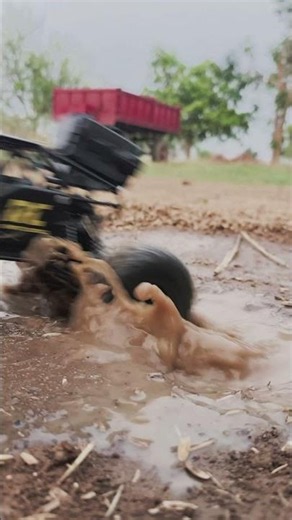 RC offroading in Mud | Monster truck | 4x4 rc car #rccar #4x4 #rcoffoad #rcv #remotecontrol #shorts