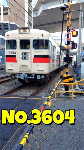 ✨【山陽電車3000系】レトロな名車の踏切通過シーン✨ Sanyo Railway 3000 Series Crossing!🎶#shorts