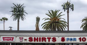 What’s better: a tree that gives life or a tree that gives YouTube?