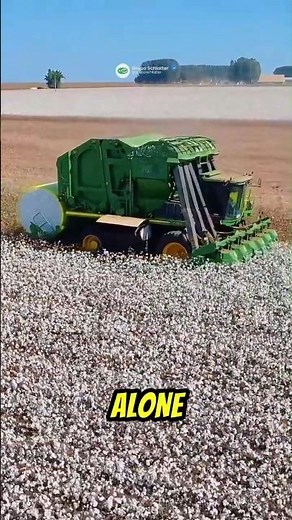 Picking Cotton Used Be Brutal