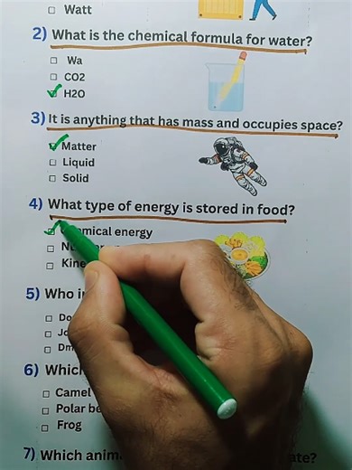 Guess Master Officials on TikTok