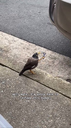 Reshaping a Bumper and Replacing Wheels for Safety | Sus Quotes