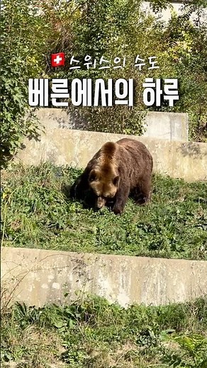 스위스의 수도 베른에서의 하루