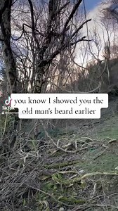 Good morning! | Stornoway