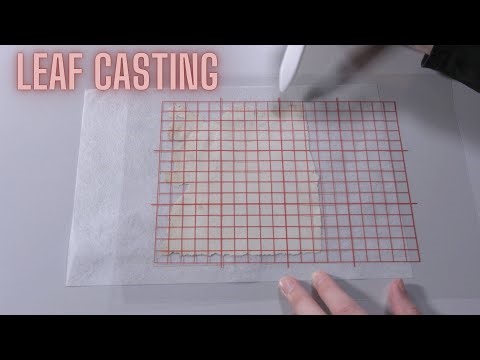 Leaf Casting